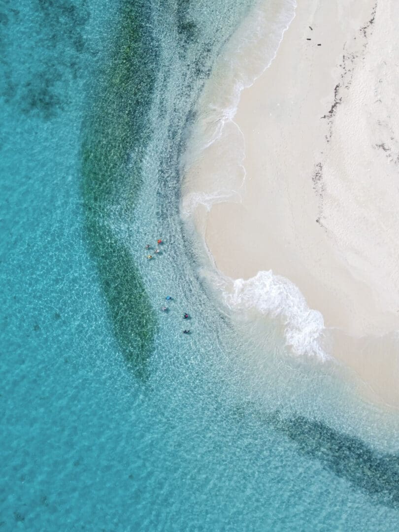 group of swimmers and snorkelers on Sandy Cay, British Virgin Islands